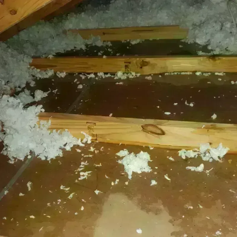 Attic Water Damage in Putnam County, IN